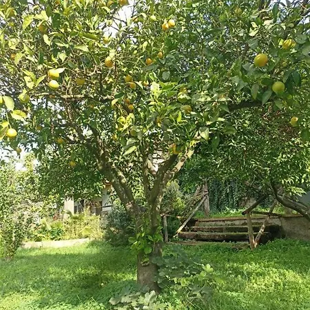 Agri Ospitalita & Convivialita Gasthof