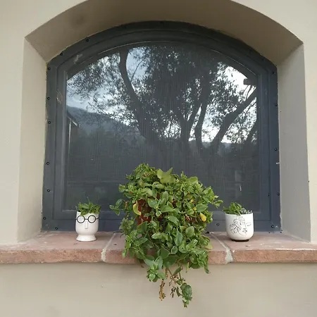 Gasthof Agri Ospitalita & Convivialita San Bartolomeo (Salerno)