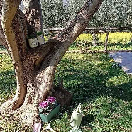 Agri Ospitalita & Convivialita Gasthof
