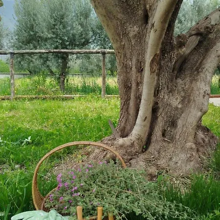 Agri Ospitalita & Convivialita *